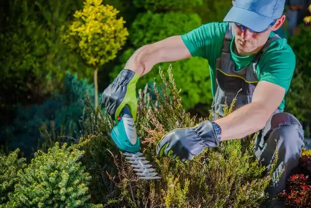 landscaping services Sledge